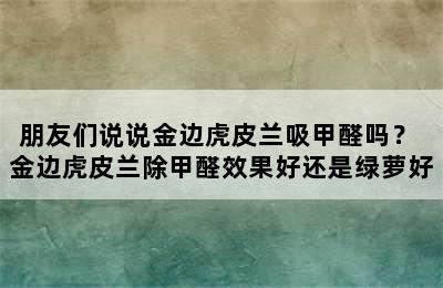 朋友们说说金边虎皮兰吸甲醛吗？ 金边虎皮兰除甲醛效果好还是绿萝好